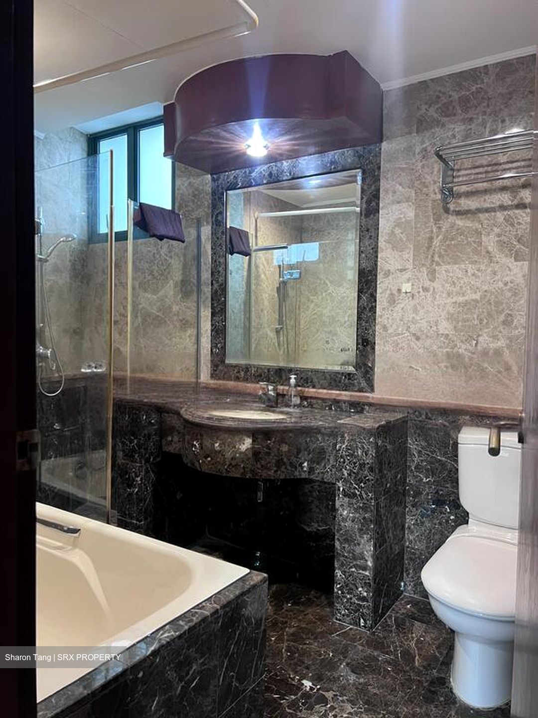 Toh Tuck Road (D21), Condominium #562208791
